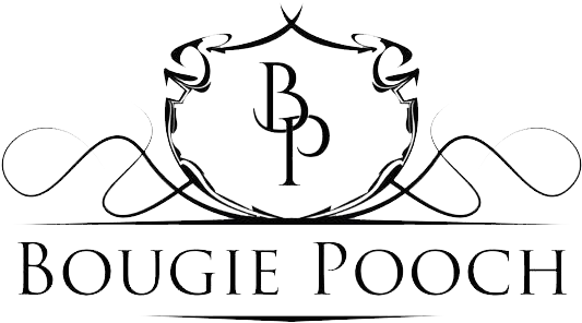 Bougiepooch (555x302), Png Download