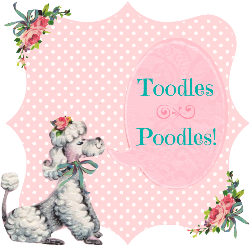 Cecilia Avendaño On Pinterest - Poodle (800x787), Png Download