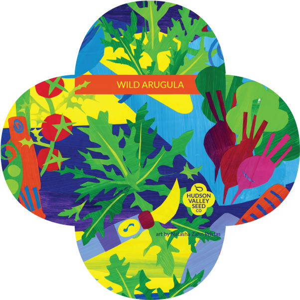 More Views - Perennial Wall-rocket (800x600), Png Download