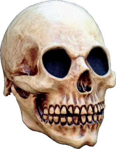 Old Skull Skeleton Horror Mask - Head Skull Halloween Mask (390x500), Png Download