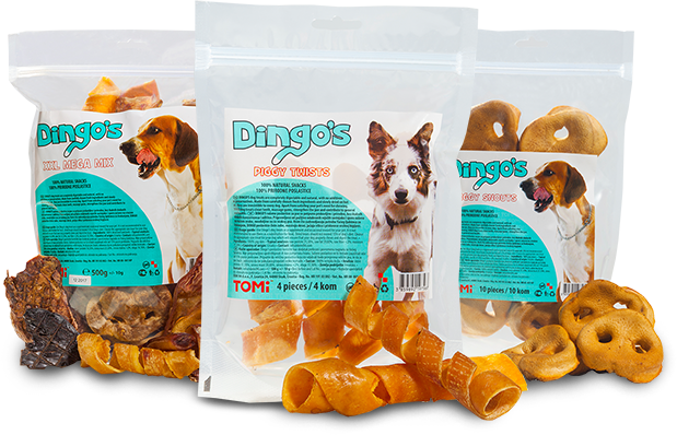 Dog (619x398), Png Download