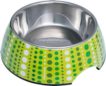 Red Dingo Dog Bowl Lotzadotz Lime Green 175 Ml - Red Dog Bowl Stainless Steel (440x293), Png Download