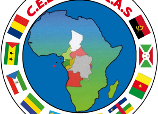 Central African Leaders Agree To Join Fight Against - Economic Community Of Central African States (890x395), Png Download