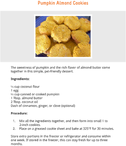 Homemade Treats By Dr - Tostones (434x504), Png Download