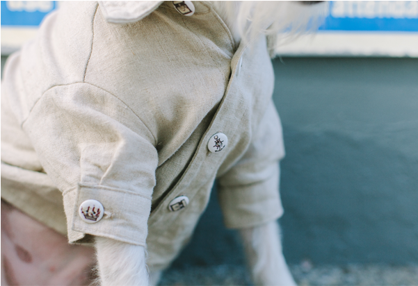 Sandy Bottom Dog Shirt - Pocket (600x600), Png Download