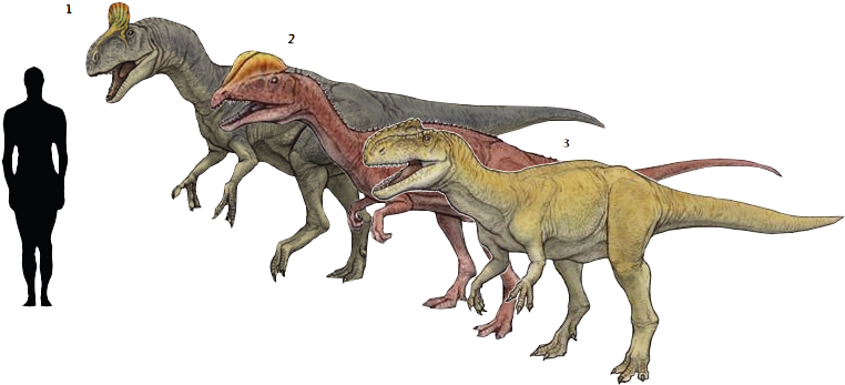Cryolophosaurus Ellioti - Monolophosaurus Vs Dilophosaurus (775x362), Png Download