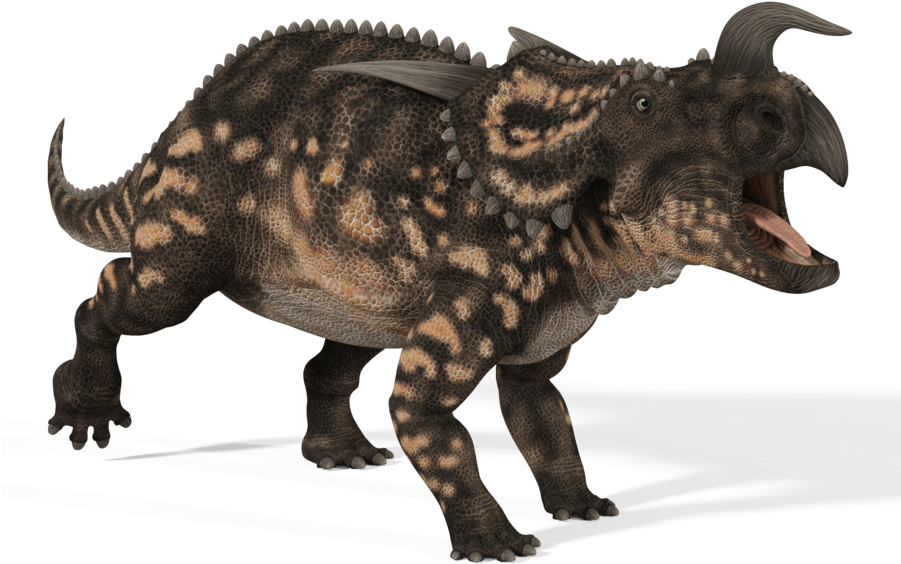 Einiosaurus - Posterazzi Einiosaurus Dinosaur White Background Poster (900x605), Png Download