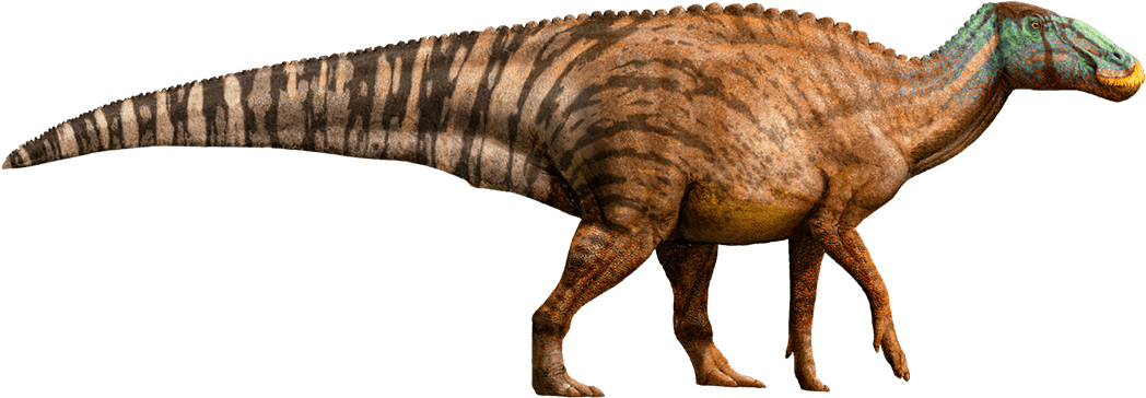 Edmontosaurus - Jurassic World Edmontosaurus (1095x540), Png Download