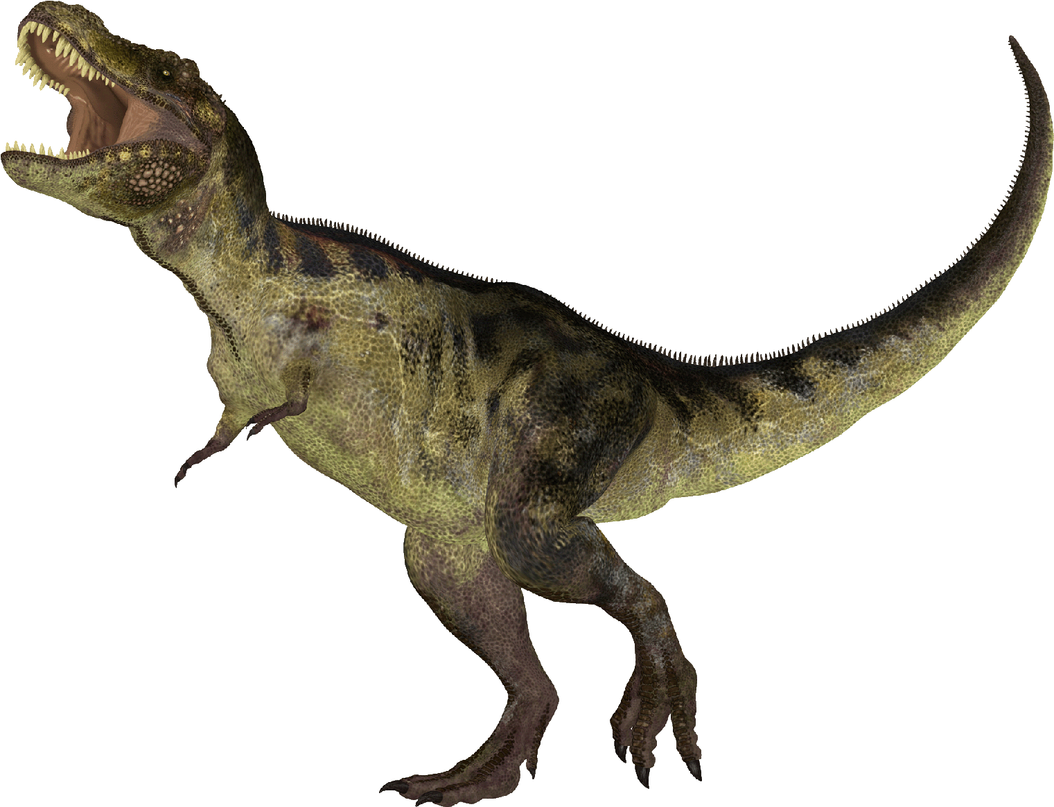When Dinosaurs Roamed - Dinosaurs Small (1638x1229), Png Download