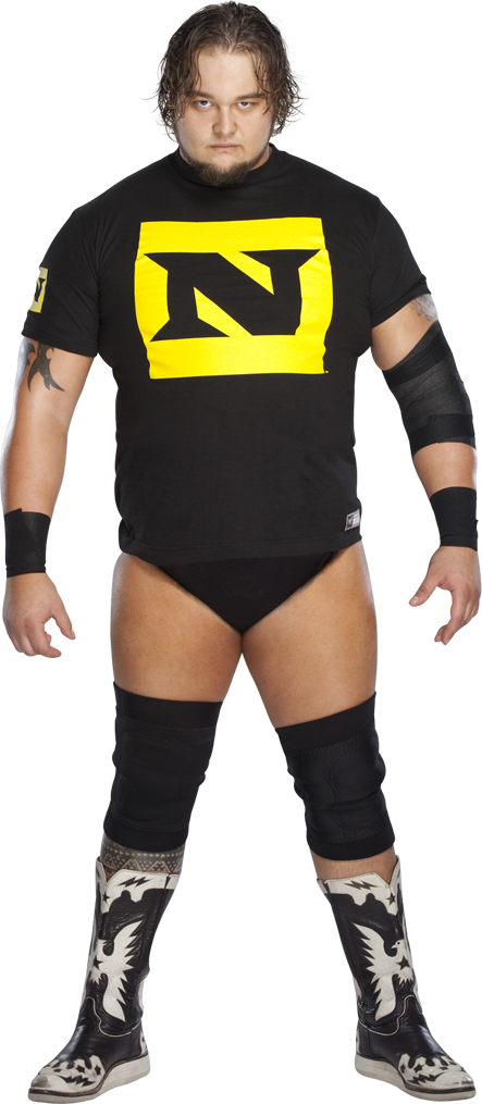 Husky Harris - Nexus Wwe Bray Wyatt (443x1015), Png Download