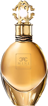 Perfume Bottle 25ml/30ml Paper Perfume Packaging Box - Roberto Cavalli Parfum Dama (350x350), Png Download