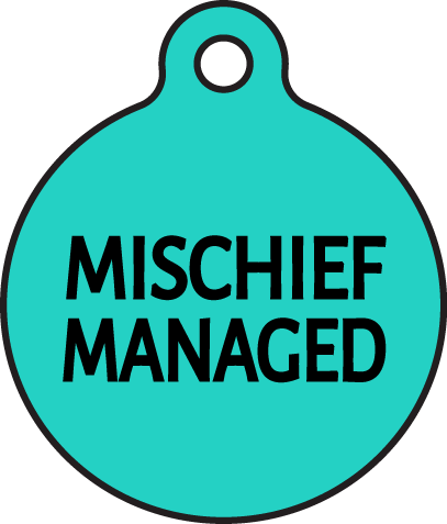 Management (407x477), Png Download