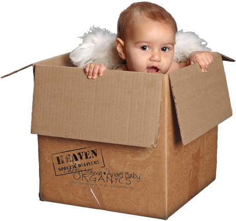 Baby In Shipping Box (500x500), Png Download