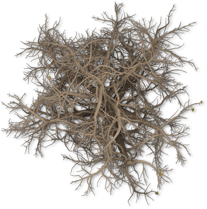 06 Feb 2009 - Dead Leaves Transparent (721x728), Png Download