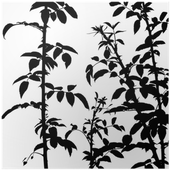 Shrub Silhouette (400x400), Png Download