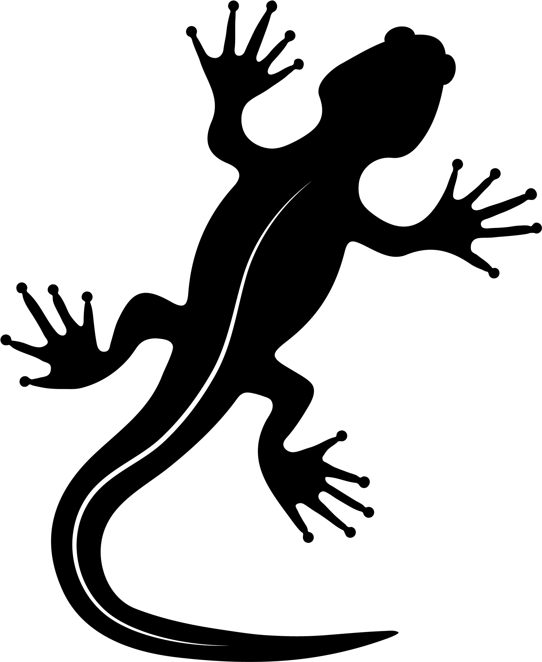 Adding A Word That Communicates Something About The - Lizard (1920x2484), Png Download