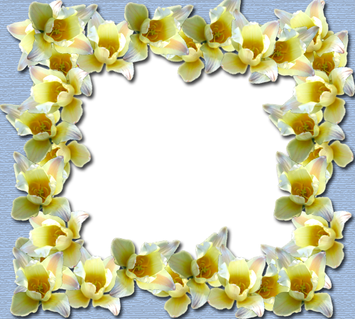 Yellow Border Frame Png File - Yellow Flowers Border Only (500x450), Png Download