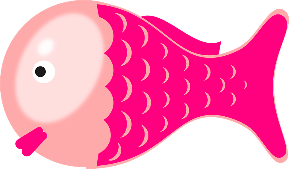 Marine Fish Clipart Face - Fish Pink Clipart (960x562), Png Download