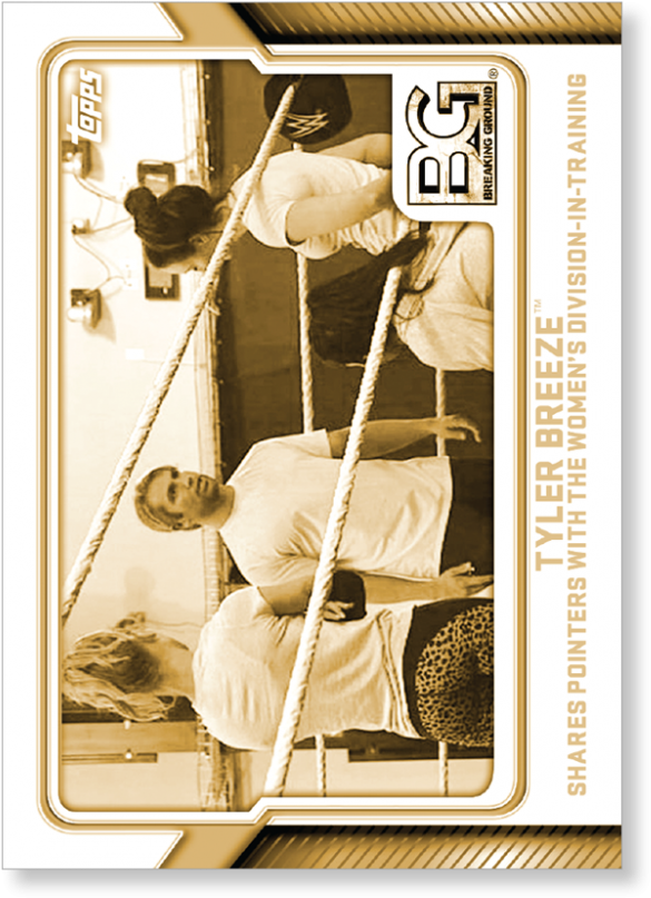 Tyler Breeze - Wwe (1440x975), Png Download