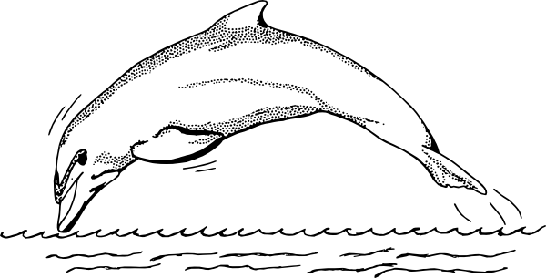 Sketch Of Dolphin Fish (600x305), Png Download