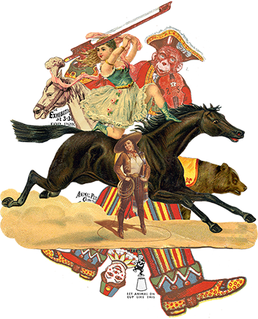 Filmography - “ - Vintage Horse & Rider Shower Curtain (369x456), Png Download