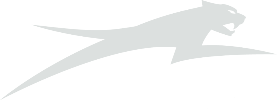 Arctic Cat (971x384), Png Download