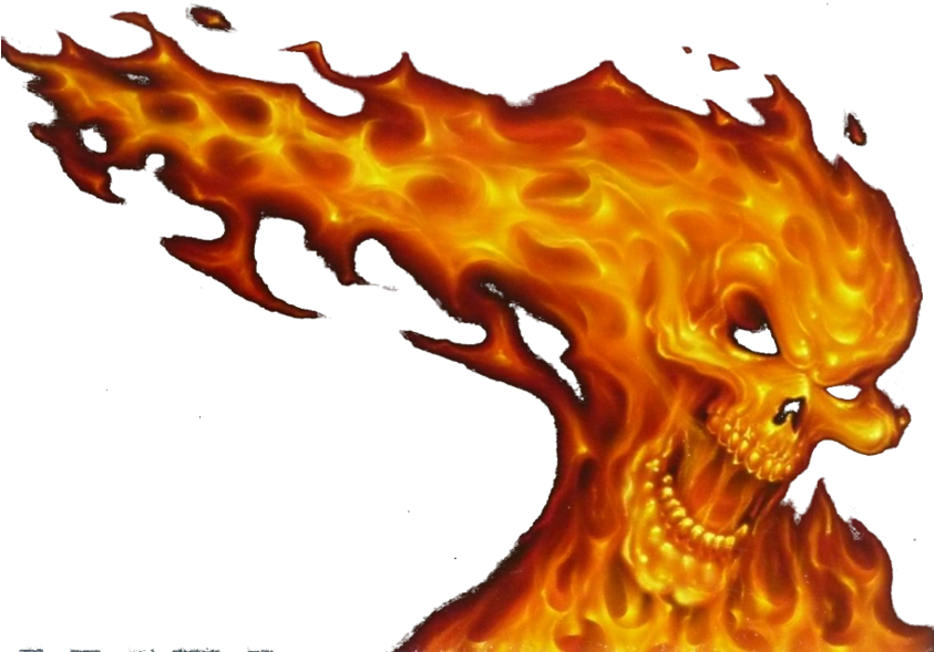 Fire Skull - Skull On Fire Transparent (842x600), Png Download