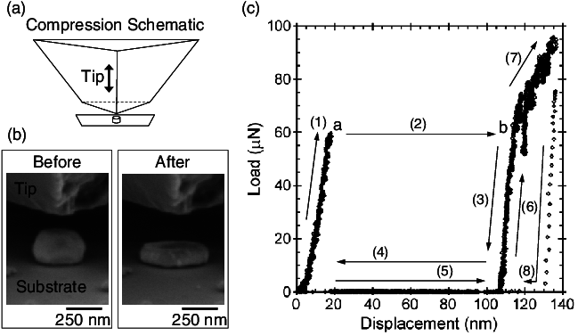 Compression Schematic Of Isolated, Single Crystal Gold - Nanoindenter (650x385), Png Download