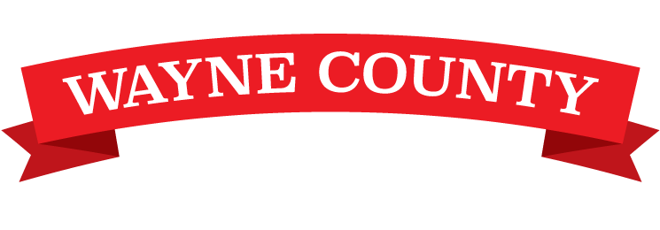 County Fair Fun In Wayne Nebraska - Wayne (774x304), Png Download