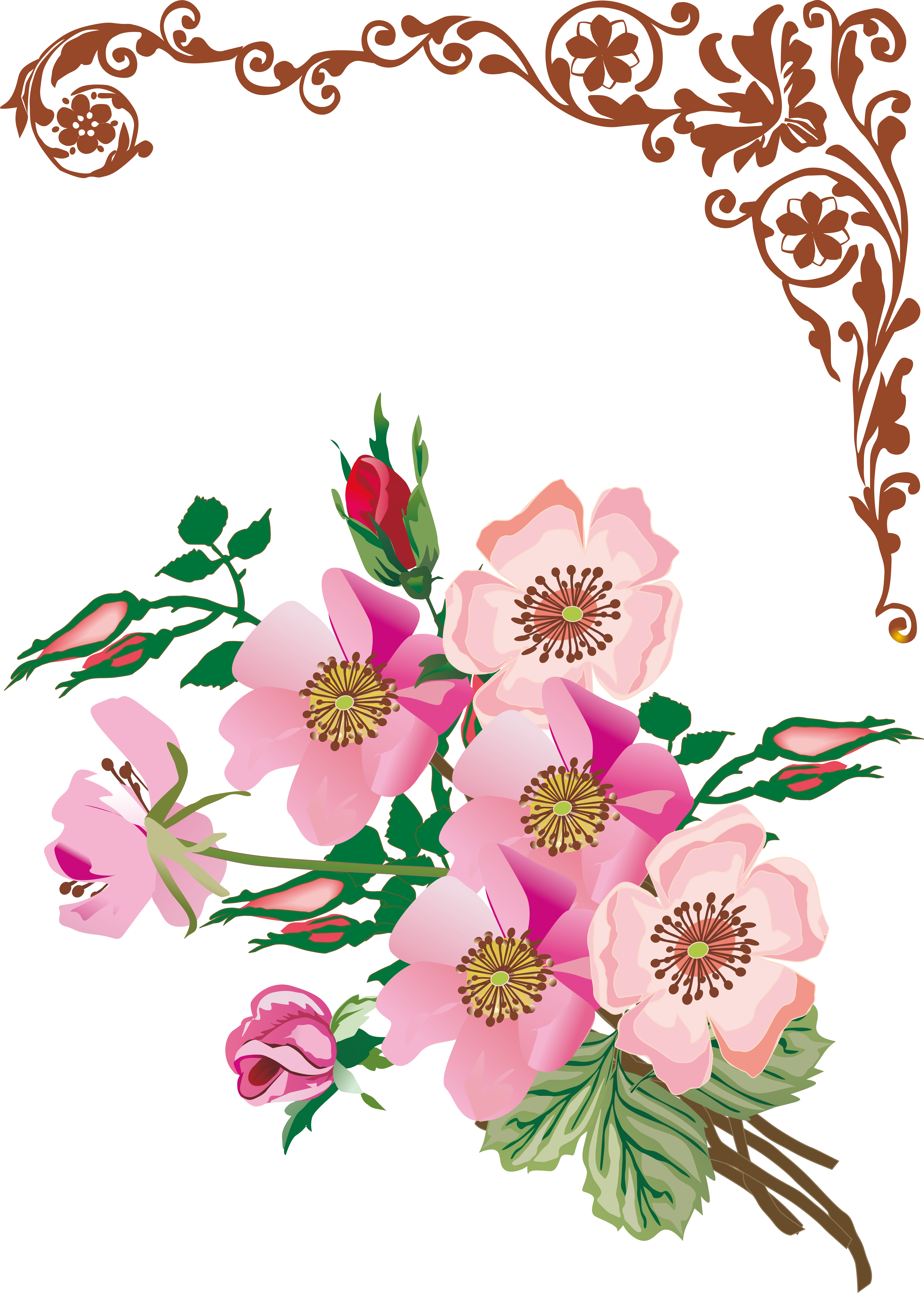 Floral Design Flower (6257x8756), Png Download
