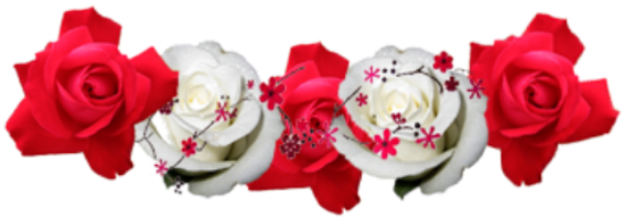 Sticker Stickers Flower Crown Flowercrown Flowers Red - Corona De Flores Png (1024x1024), Png Download