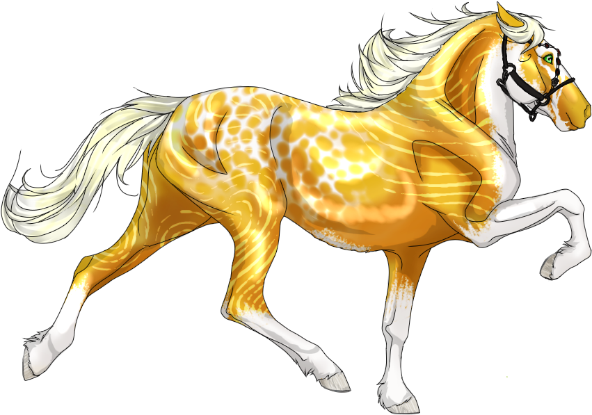 Rabicano (900x600), Png Download