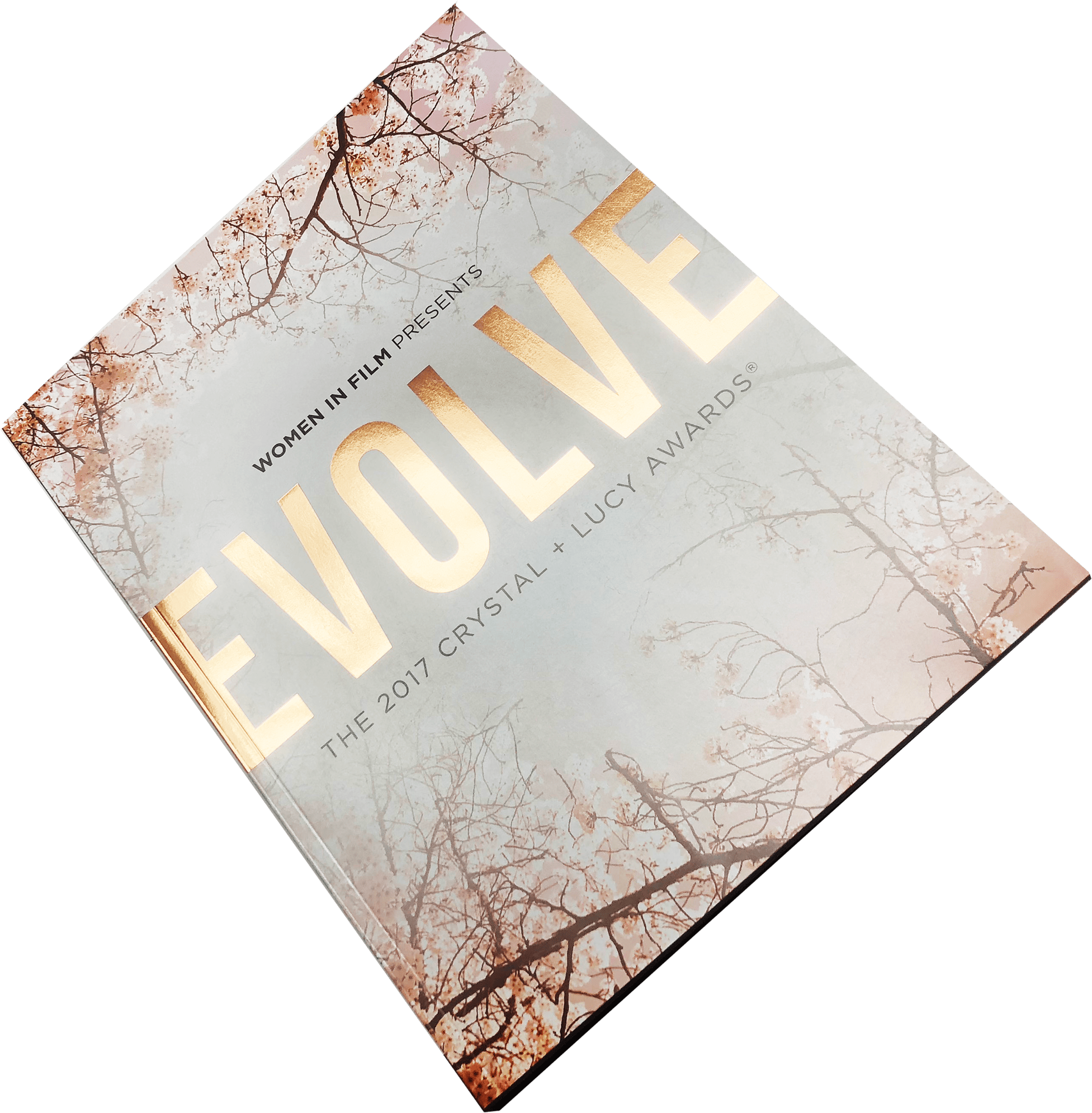 Women In Film (2000x2059), Png Download