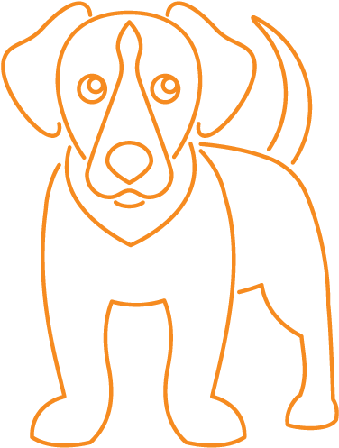 Black Lab - Dog (595x594), Png Download