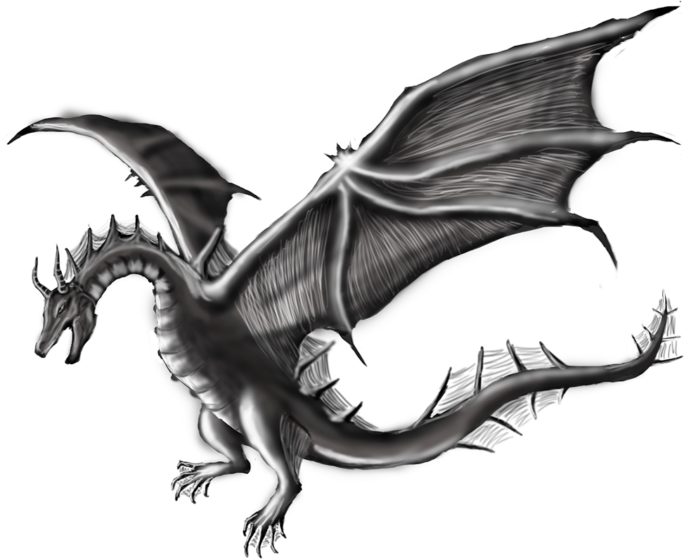 Wyvern - Drawing (973x795), Png Download