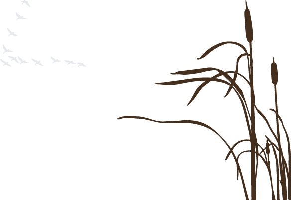 Buscar Con Google - Reed Silhouette (600x600), Png Download