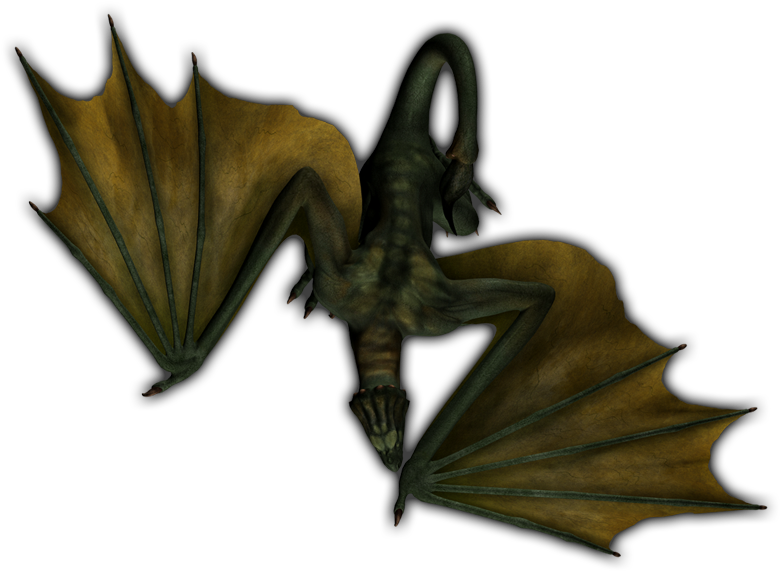 24 Mar 2009 - Dragon (800x680), Png Download