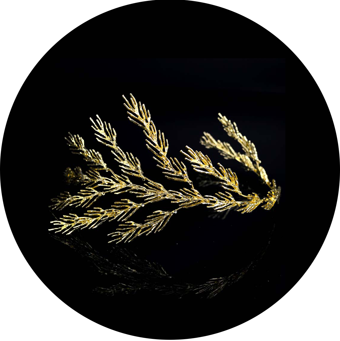 Espigas Doradas - Msr008 (1134x1136), Png Download
