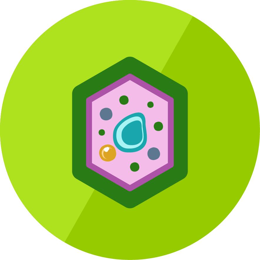 The Plant Cell - Plant Cell Icon (884x884), Png Download