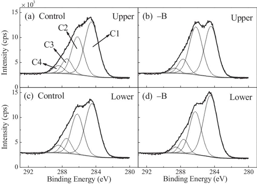 Deconvoluted High Resolution Xps C1s Spectrum Of Control - Plants (850x609), Png Download