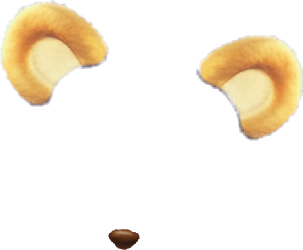 Mouse Ears Snapchatfilter Mouse Ears Nose - Ear (618x510), Png Download
