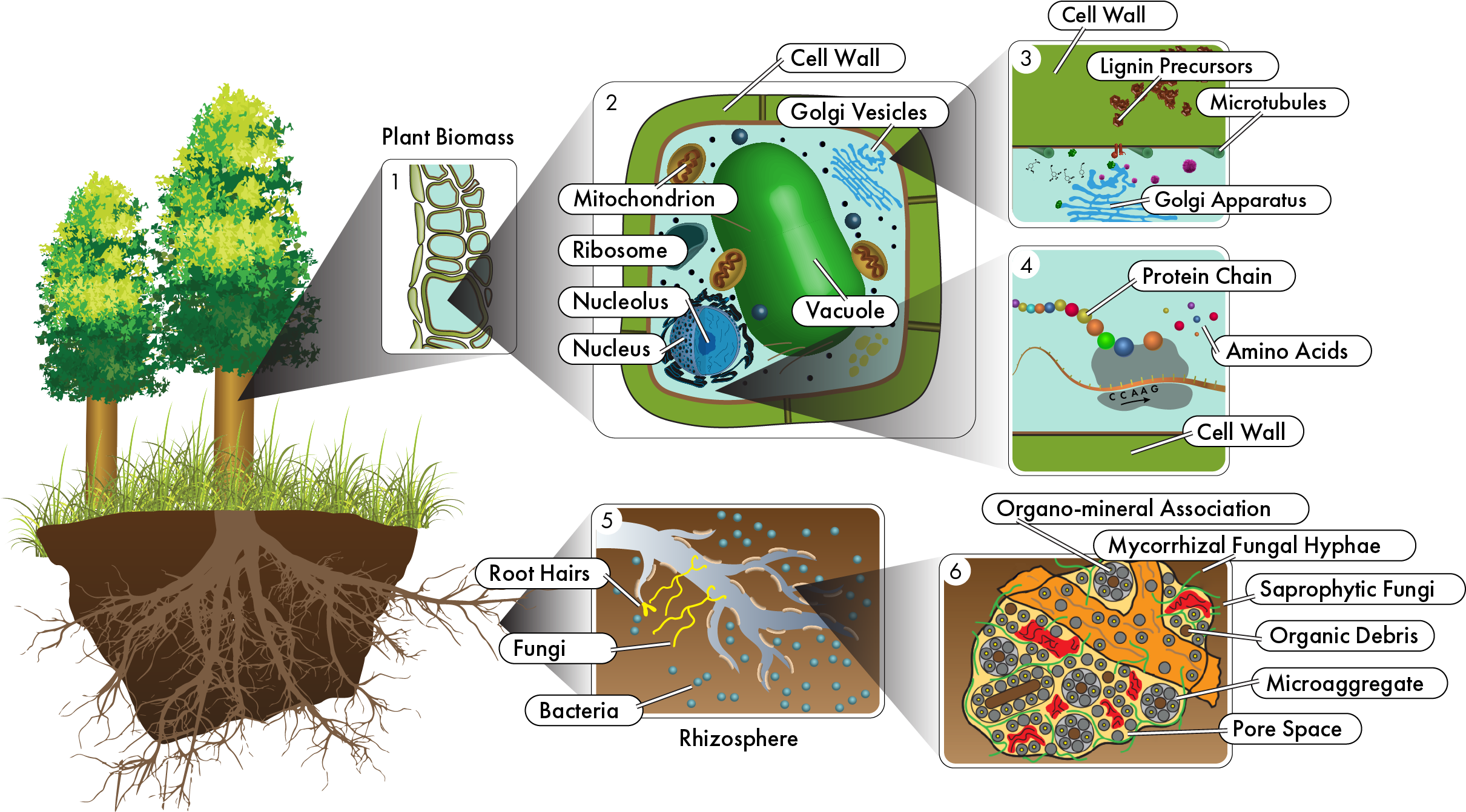 Other New Approaches Suggested Will Provide As Yet - Ecosystem To Molecules Interactions Are Important (2551x1538), Png Download