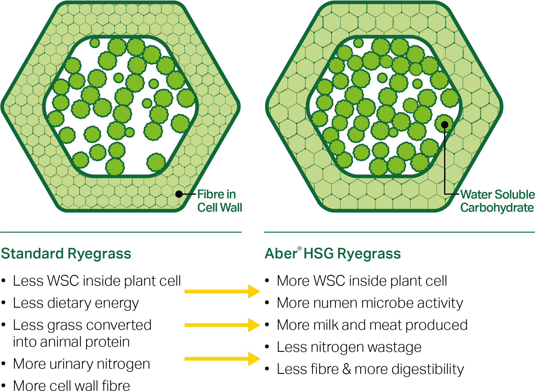 Get In Touch - Hexagon Geometry (1926x1607), Png Download