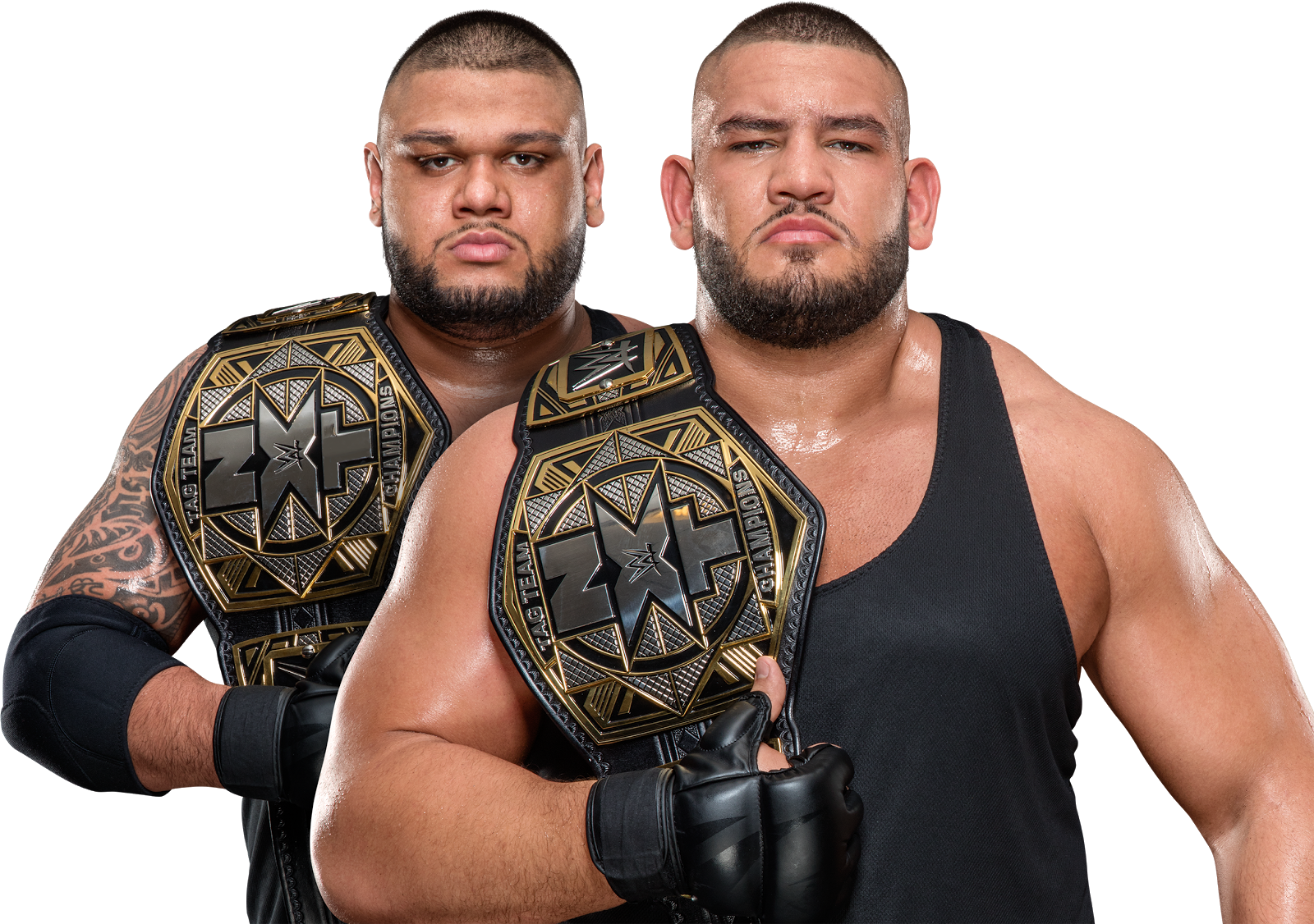 Professional Wrestling - Visit - Authors Of Pain Nxt Tag Champions (1024x721), Png Download