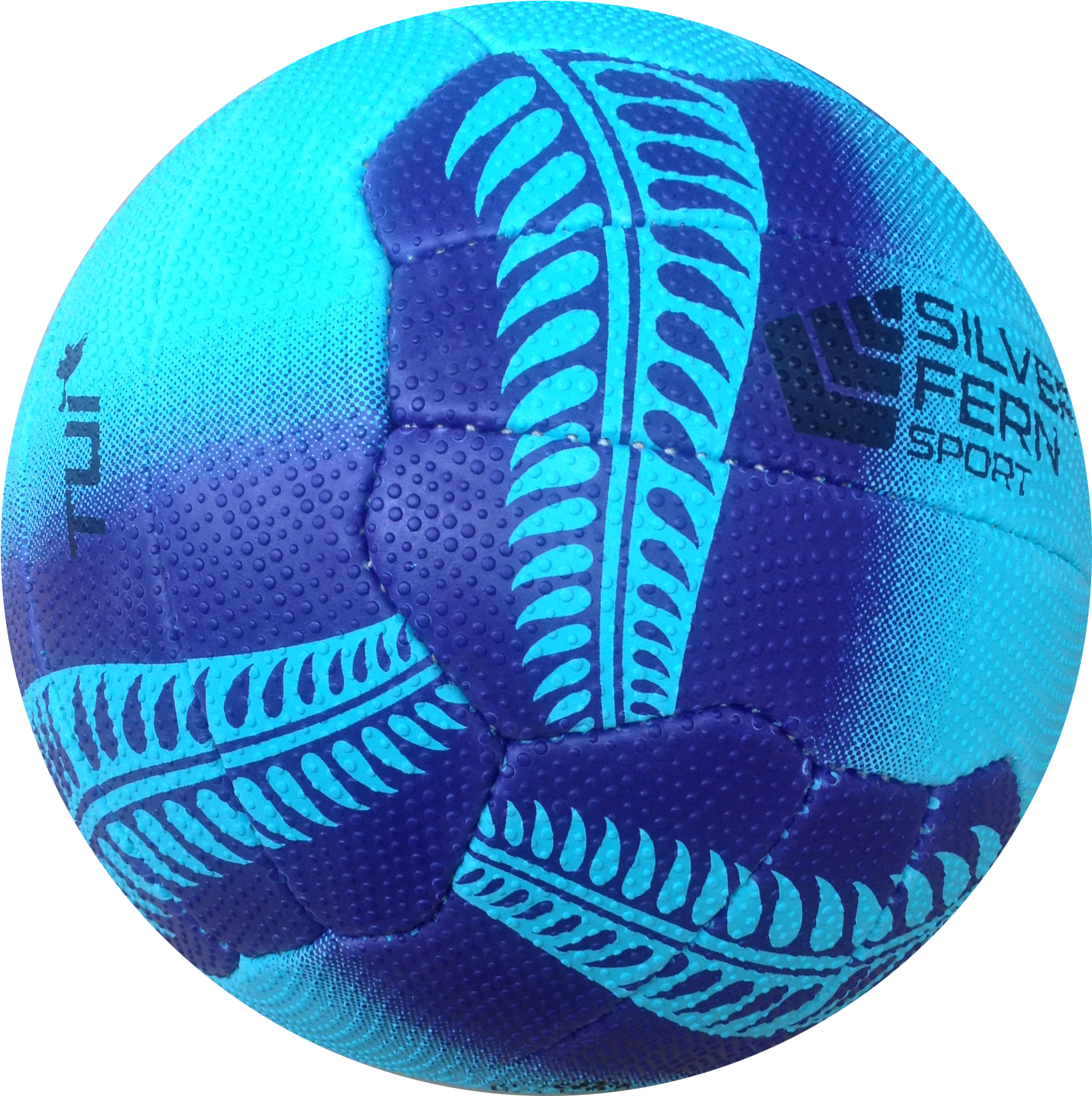Silver - Silver Fern Netball Ball Png (1752x1764), Png Download