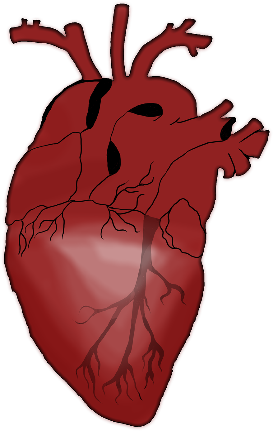 I Took A Reference Picture , And I Simplified It - Illustration (1400x1867), Png Download