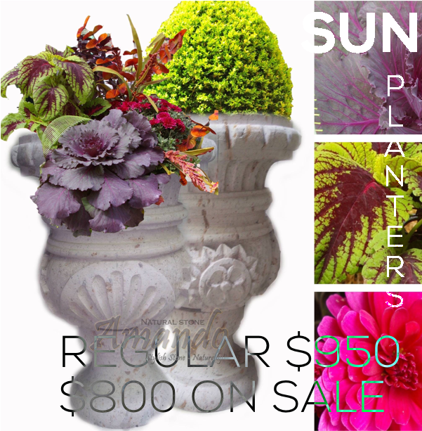 Amando Stone Sun Cup Planter - Cup (600x800), Png Download