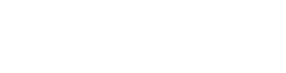 Our Website Provides All The Information You'd Ever - Front Line Assembly Logo (990x287), Png Download