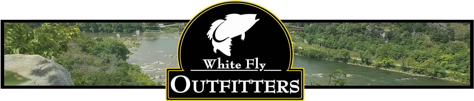 Sturgeon (1669x344), Png Download