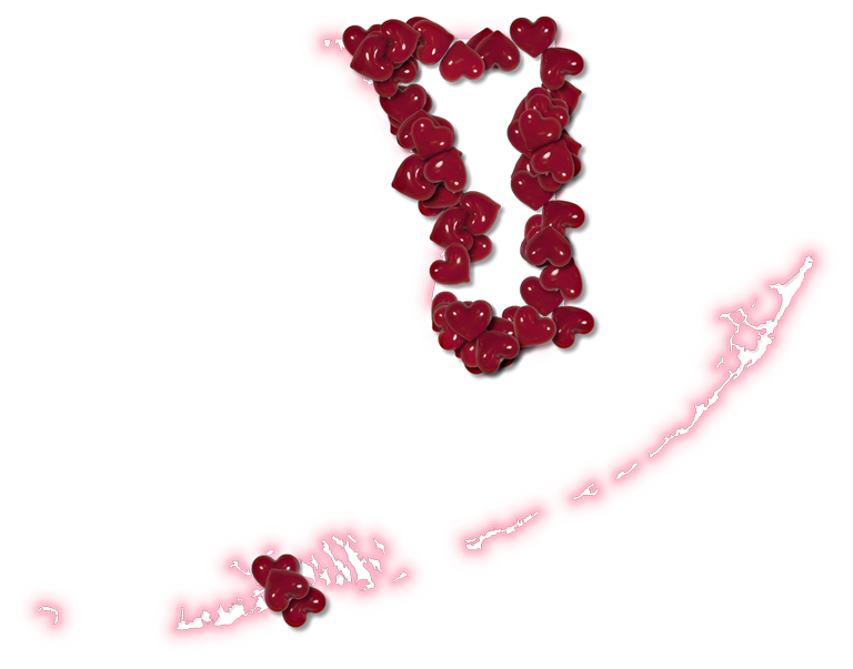 A Map Of Monroe With A Pink Glow Outline And Randomly - Png Files For Editing (768x603), Png Download